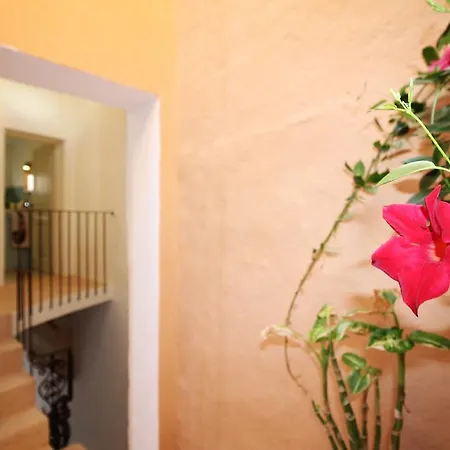 Dimora San Leuci By Lovesud Bed & Breakfast Gagliano del Capo